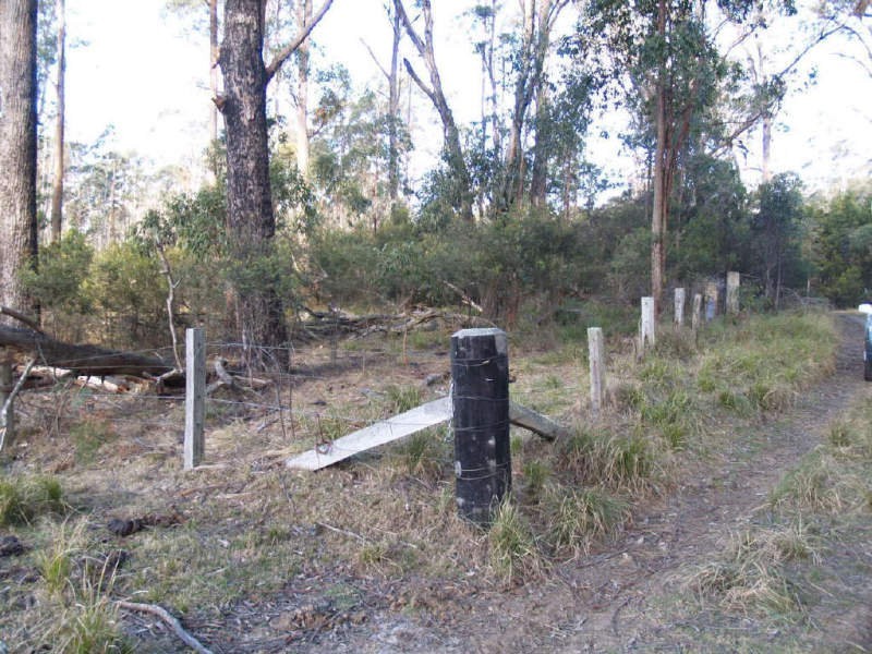 4450 Chaelundi Road, Dundurrabin NSW 2453