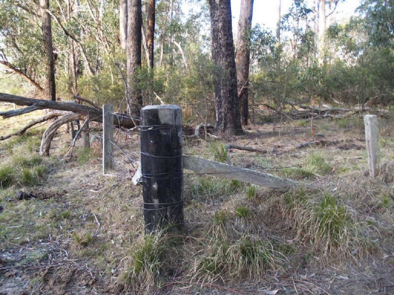 4450 Chaelundi Road, Dundurrabin NSW 2453