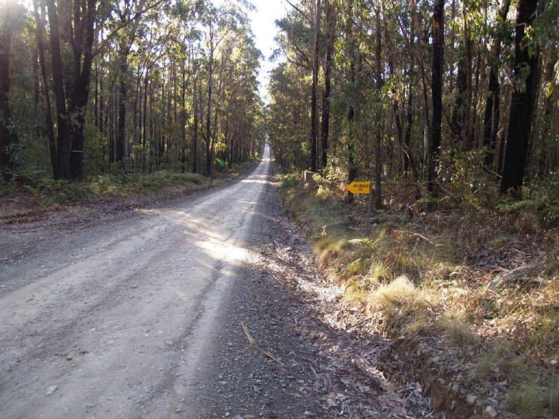 4450 Chaelundi Road, Dundurrabin NSW 2453