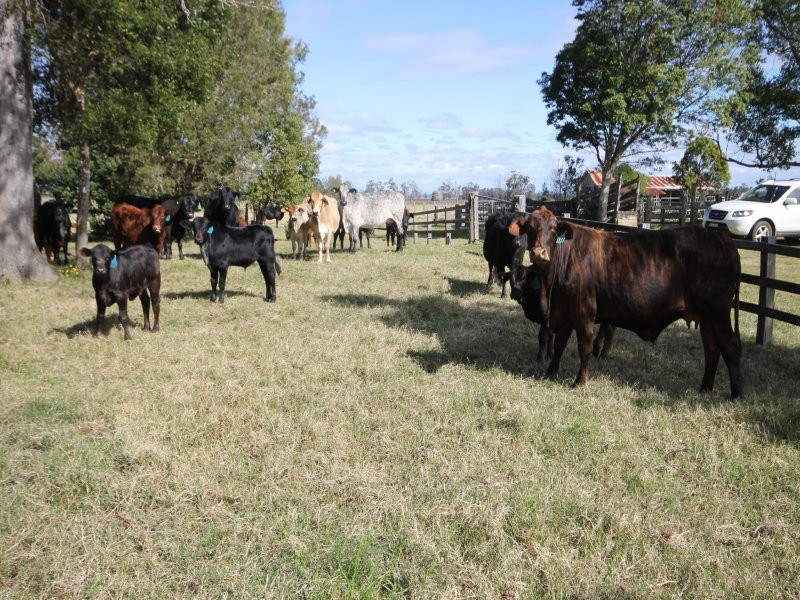 572 Coldstream Road, Ulmarra NSW 2462