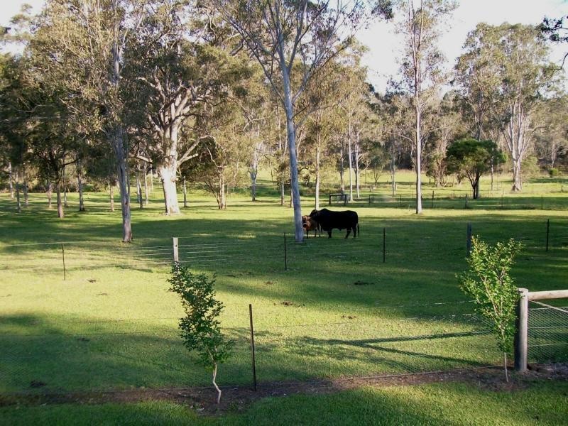 3142 Summerland Way, Gurranang NSW 2460