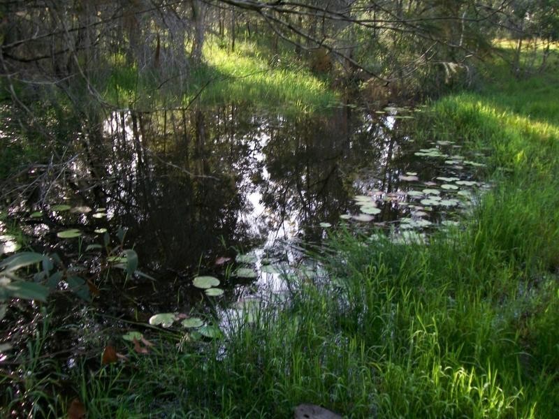 3142 Summerland Way, Gurranang NSW 2460