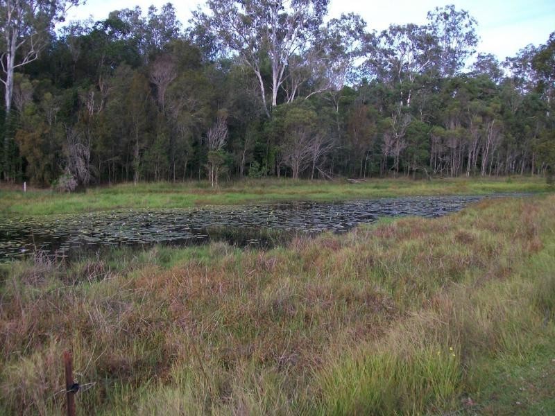 3142 Summerland Way, Gurranang NSW 2460