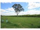 L2 359 South Arm School Road, Brushgrove NSW 2460