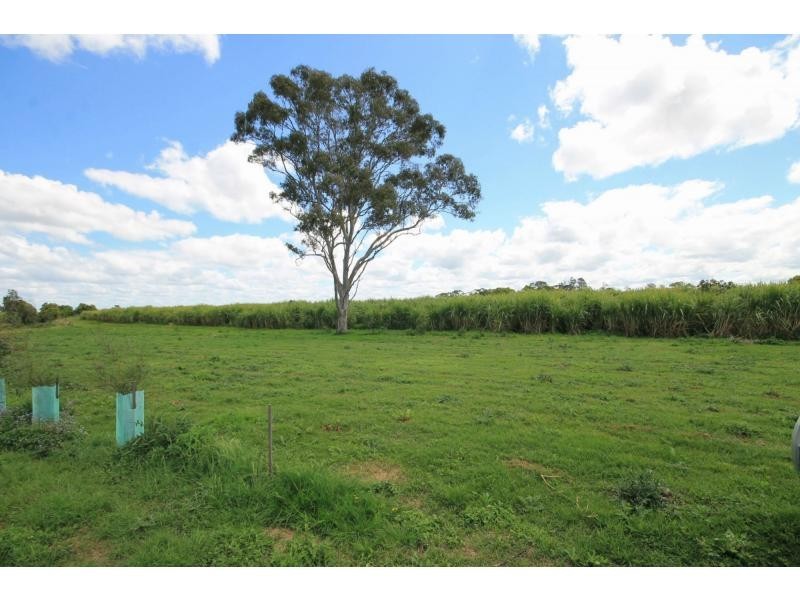 L2 359 South Arm School Road, Brushgrove NSW 2460
