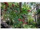 31 High Street, Lawrence NSW 2460