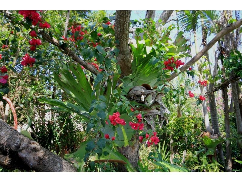 31 High Street, Lawrence NSW 2460