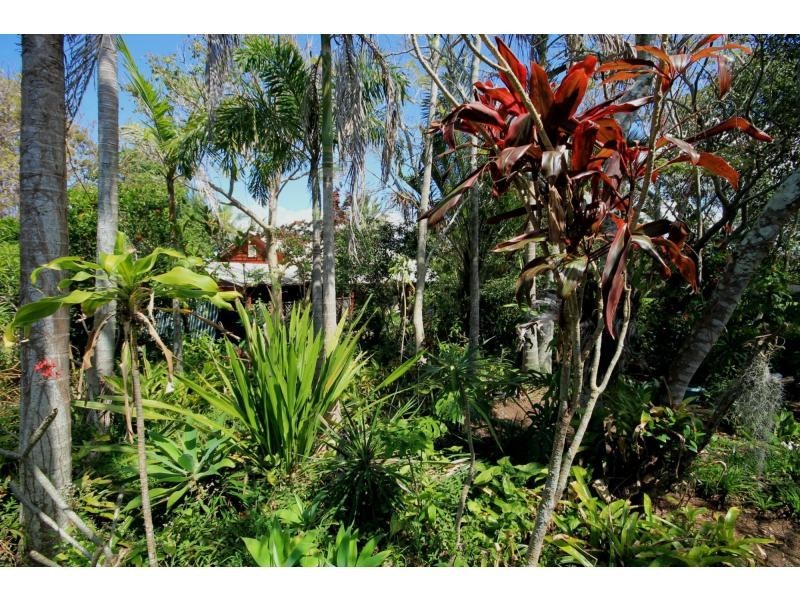 31 High Street, Lawrence NSW 2460
