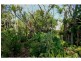 31 High Street, Lawrence NSW 2460