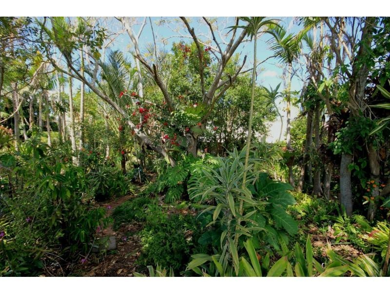 31 High Street, Lawrence NSW 2460