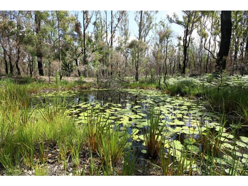 5523 Pacific Highway, Wells Crossing NSW 2460