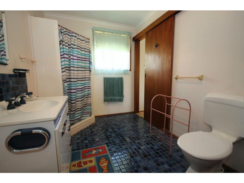 62 Grafton Street, Copmanhurst NSW 2460