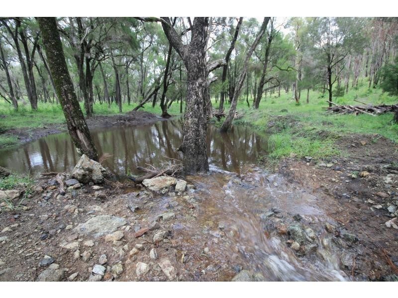 436 Carnham Road, Carnham NSW 2460