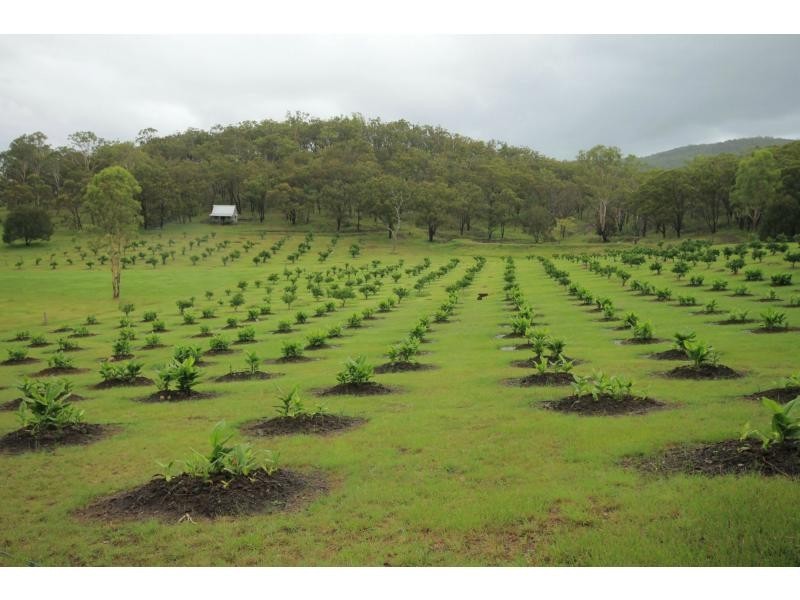 436 Carnham Road, Carnham NSW 2460