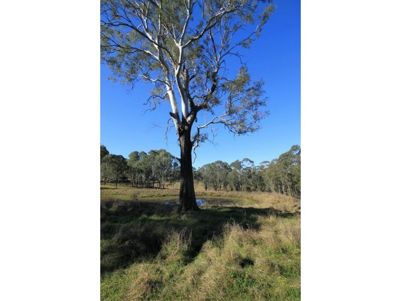 142 Reilleys Lane, Clarenza NSW 2460