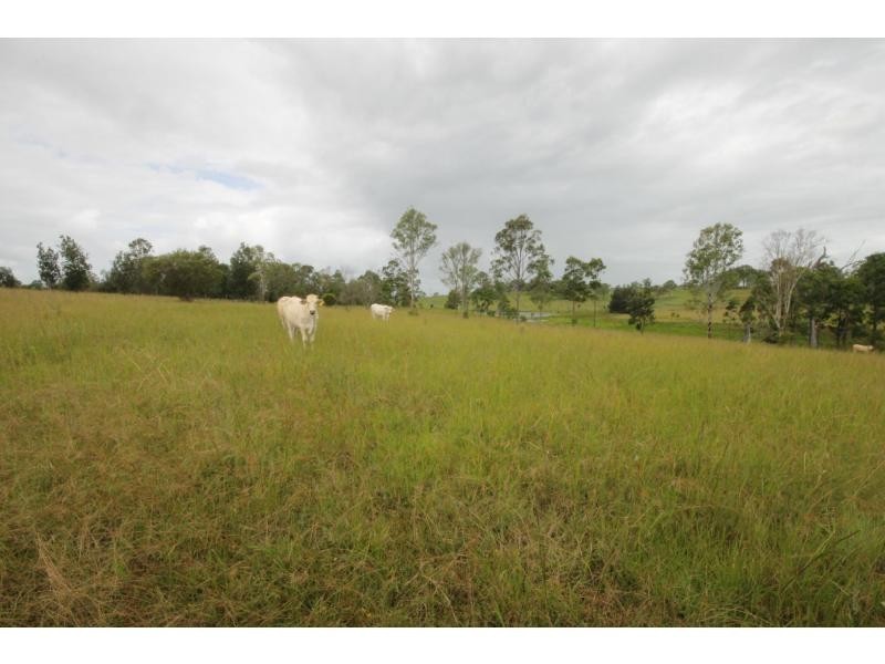 3/109 Ellem Lane, The Whiteman NSW 2460