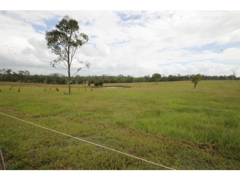 3/109 Ellem Lane, The Whiteman NSW 2460