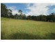 150 Foleys Road, Bom Bom NSW 2460