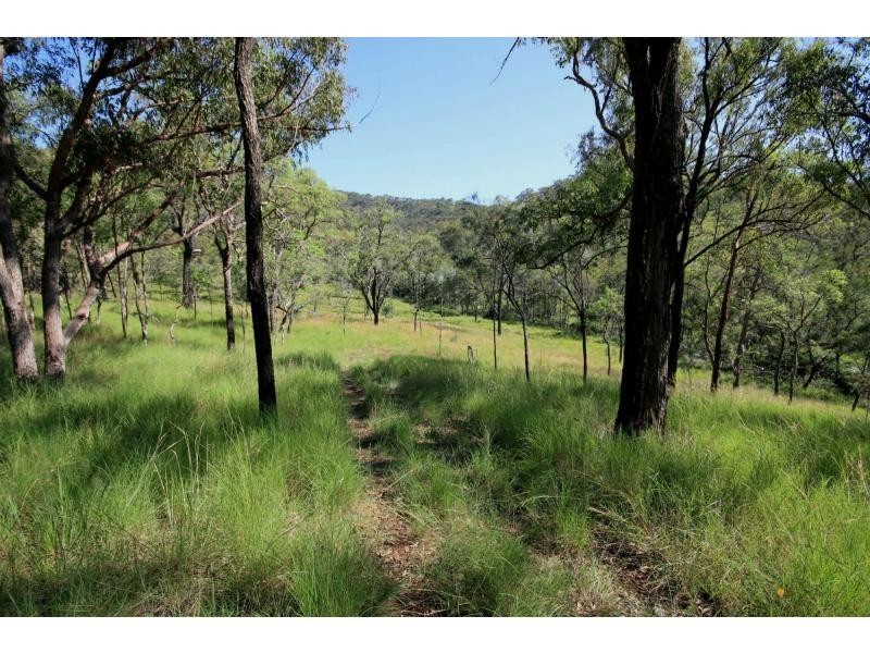 86 Mundine Road, Upper Fine Flower NSW 2460