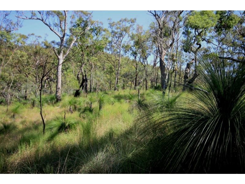 86 Mundine Road, Upper Fine Flower NSW 2460