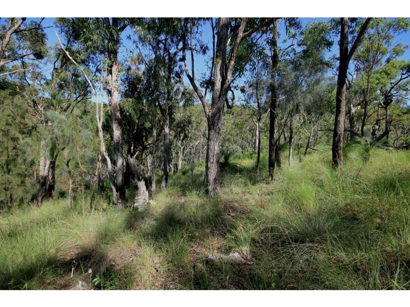 86 Mundine Road, Upper Fine Flower NSW 2460