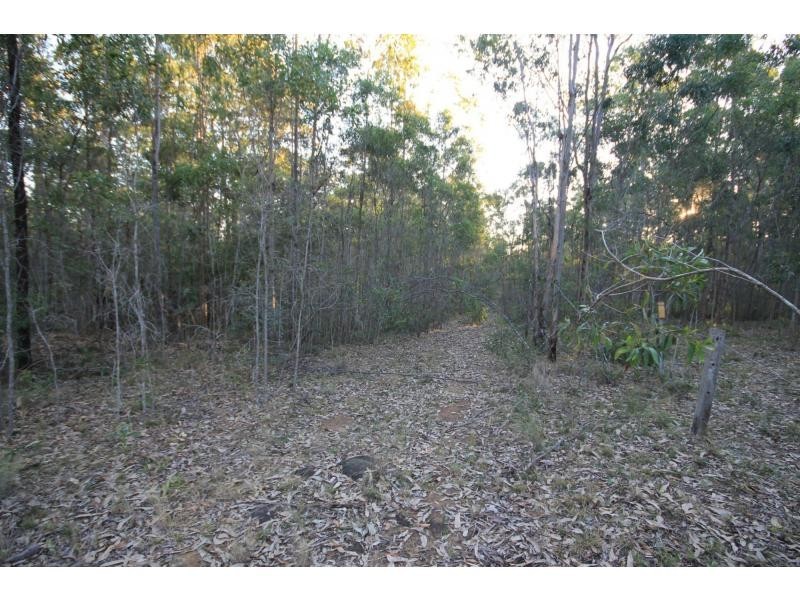 499 Coaldale Road, Fortis Creek NSW 2460