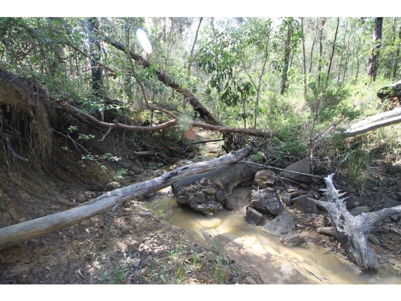 499 Coaldale Road, Fortis Creek NSW 2460