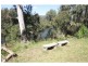 102 Boundary Creek Road, Nymboida NSW 2460
