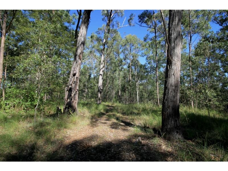 550 Tullymorgan Road, Lawrence NSW 2460