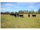 L3 & 800 Geregarow Road, Coutts Crossing NSW 2460
