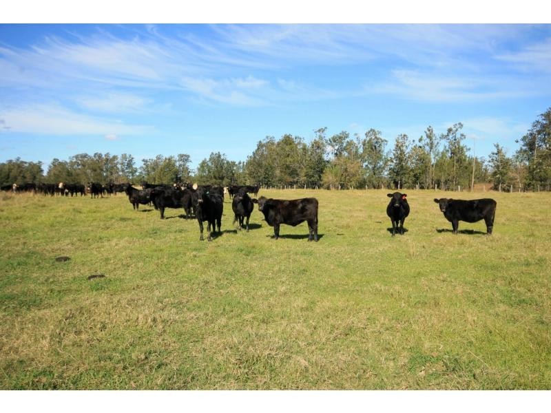 L3 & 800 Geregarow Road, Coutts Crossing NSW 2460