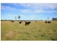 L3 & 800 Geregarow Road, Coutts Crossing NSW 2460