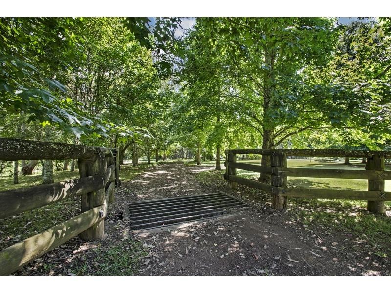 930 Kindee Road, Kindee NSW 2446