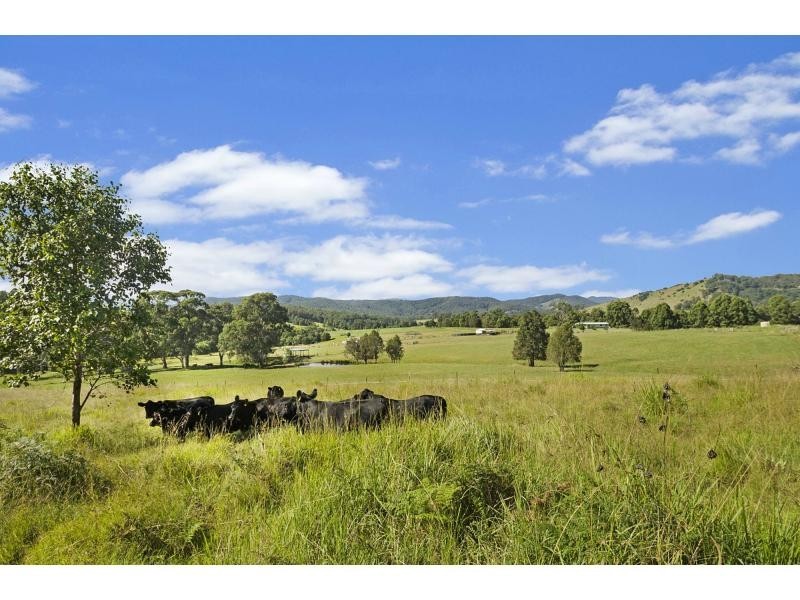 1742 Pipeclay Road, Pipeclay NSW 2446