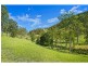 430 Kindee Road, Kindee NSW 2446