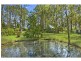 49 Old King Creek Road, King Creek NSW 2446