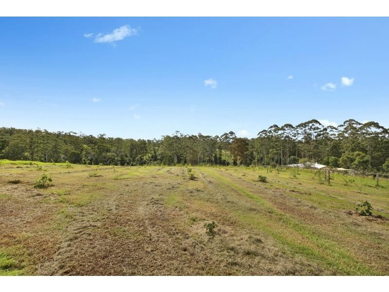 295 Eastern Boundary Road, Bellangry NSW 2446
