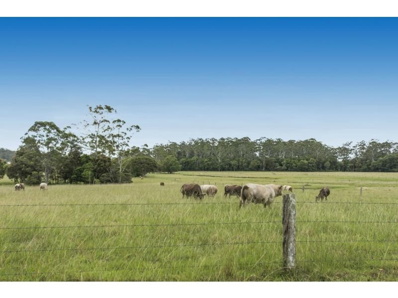 481-483 King Creek Road, Wauchope NSW 2446