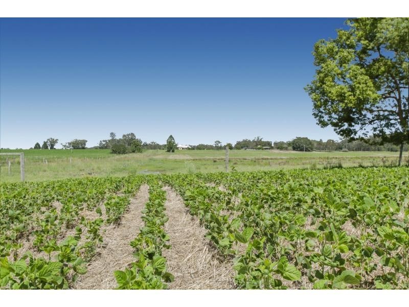 18 Carswell Road, Redbank NSW 2446