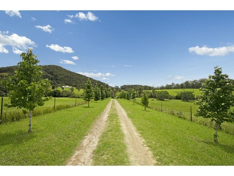 1682 Pipeclay Road, Via Beechwood, Pipeclay NSW 2446