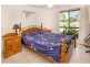 7 Bushtree Court, Burleigh Waters QLD 4220