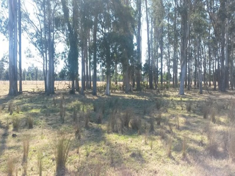 Lot 2 Mcmullens Bridge Road, Casino NSW 2470