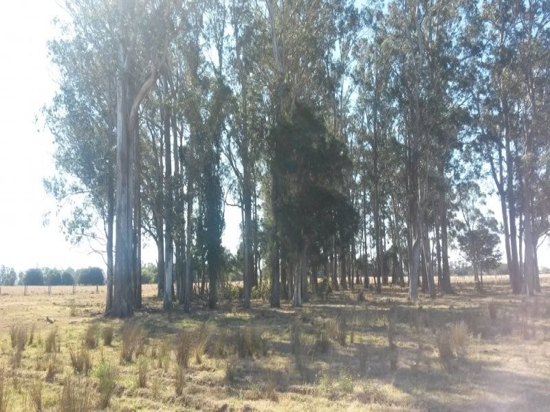 Lot 2 Mcmullens Bridge Road, Casino NSW 2470