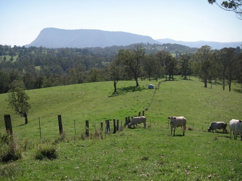 Lot 132 Williams Road, Kyogle NSW 2474