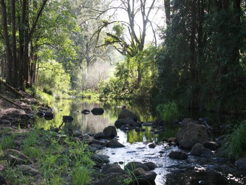 Lot 132 Williams Road, Kyogle NSW 2474