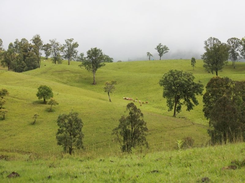 Lot 132 Williams Road, Kyogle NSW 2474