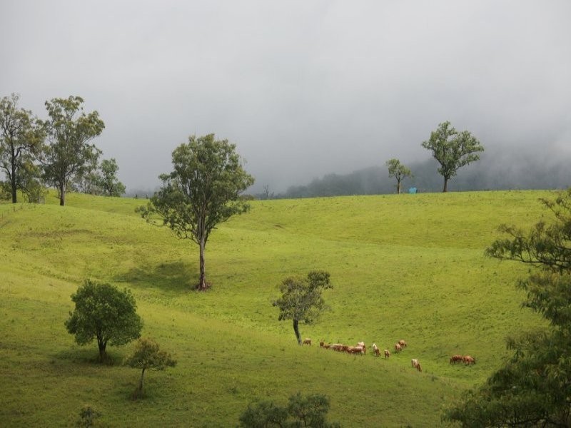 Lot 132 Williams Road, Kyogle NSW 2474