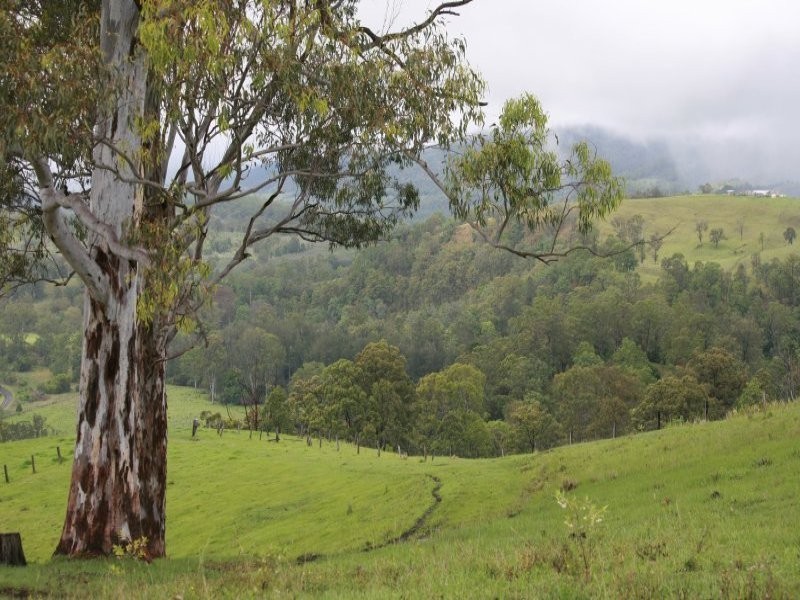 Lot 132 Williams Road, Kyogle NSW 2474