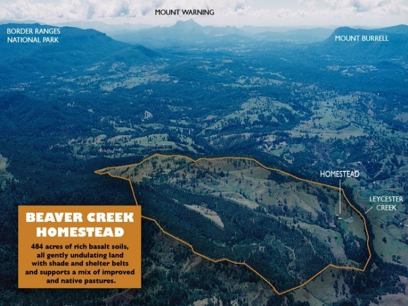 Lot 132 Williams Road, Kyogle NSW 2474