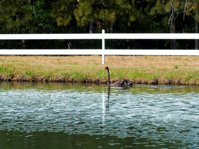 Lot 132 Williams Road, Kyogle NSW 2474